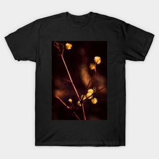 Wattle Flowers T-Shirt